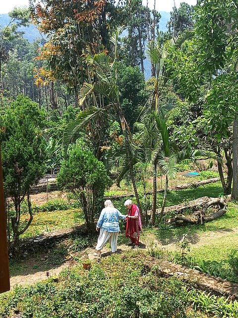 Meditators take a walk in the garden